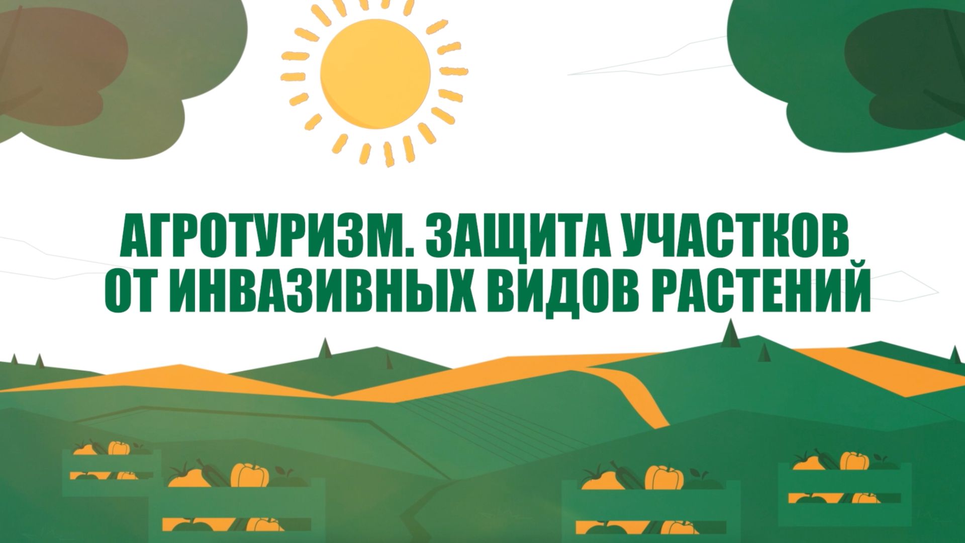 Улитки, крокодилы и лягушки: как в Подмосковье развивается агротуризм