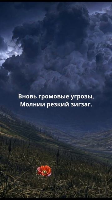 «Русское, буйное лето, месяцы зноя и туч!» 🌿