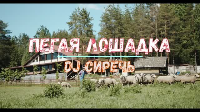 DJ Сиречь Пегая лошадка