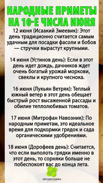 Народные приметы на 10-е числа июня
