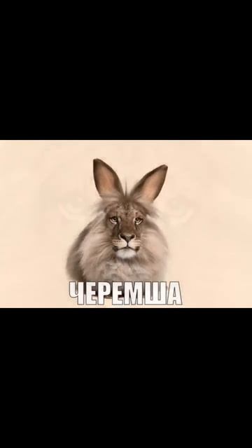 эдит черемши