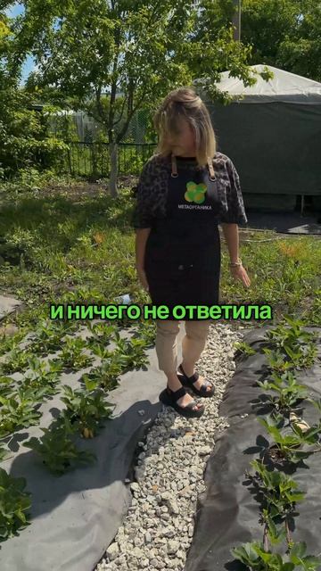 В июне бабушка расставила зеркала возле грядок. Мы решили, что растения готовятся к фотосессии.