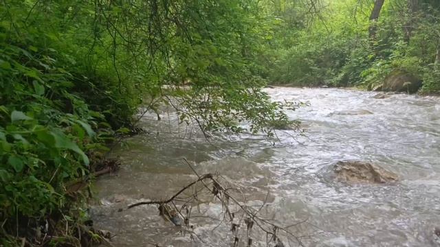 Быстрая,шумная,горная река Аликоновка.