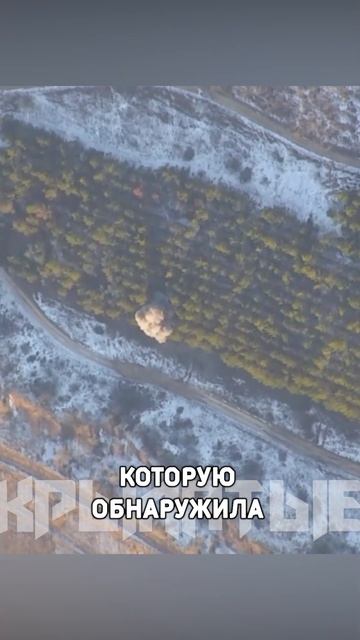 Военная сводка из зоны действия  СВО