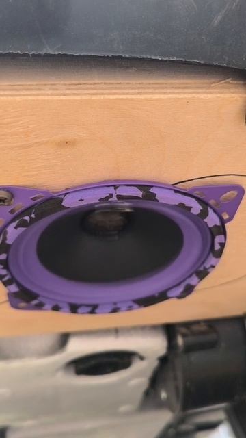 Piranha 100 V.2