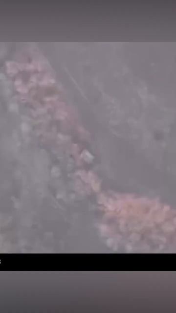 Военная сводка по СВО