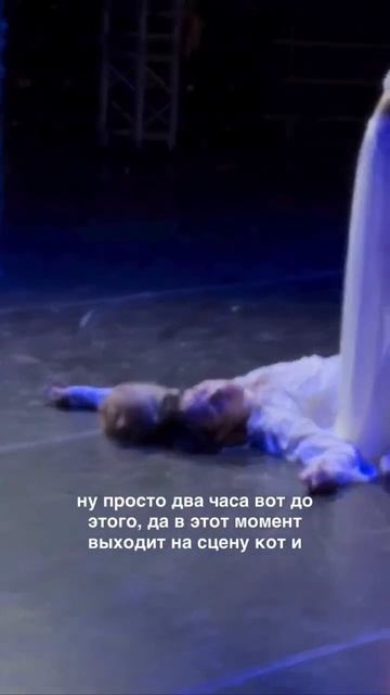 Видео от Tom And Сats / Кот на карте
