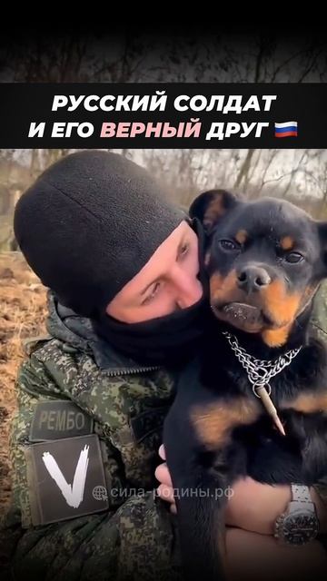 💪 Этот друг в беде не бросит!