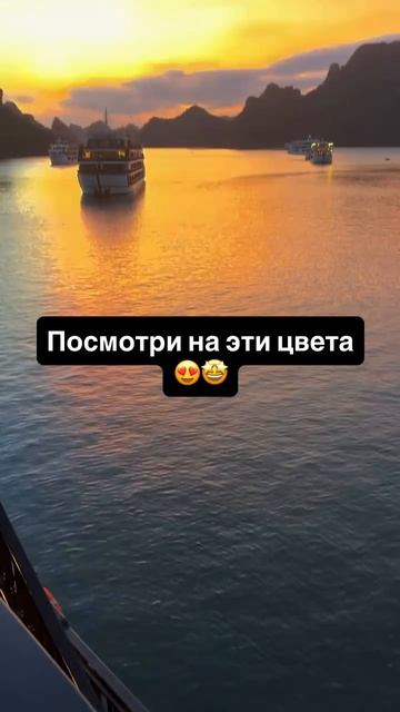 Такое ты можешь увидеть, если поедешь в Халонг!