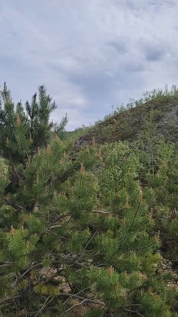 Это озеро без названия - бывший слюдяной карьер около г.Ковдор Мурманская область 07-06-2026