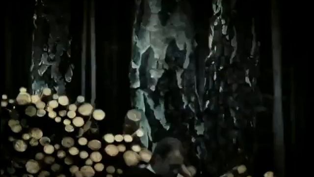 8350658202344