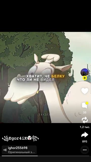 1000004270.mp4
