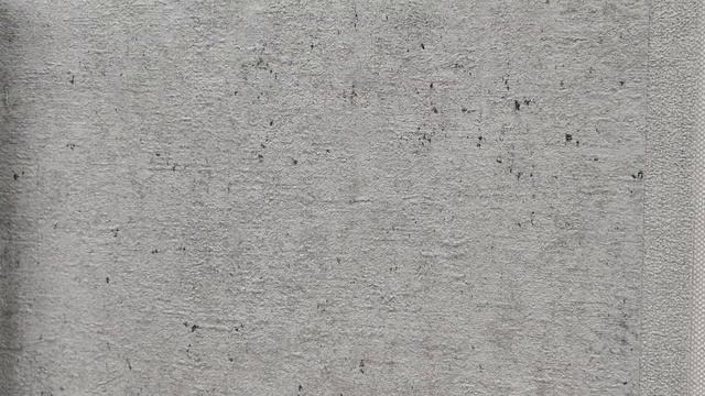 Обзор обоев Rasch Настенные структуры 4 (Wall Textures XL 4) 974249