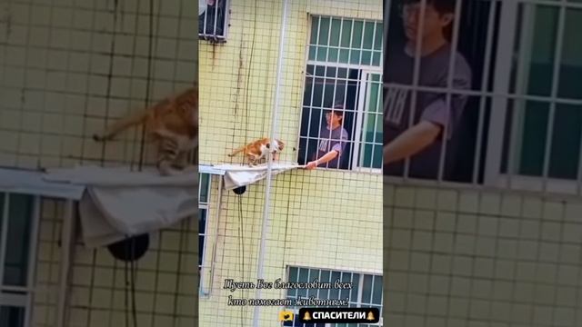 🎖️Благодарю тот день, момент  и час, когда КОГО- ТО  КТО - ТО   спасает из беды сейчас!!!✨