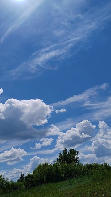 Я на солнышке лежу... ☀️