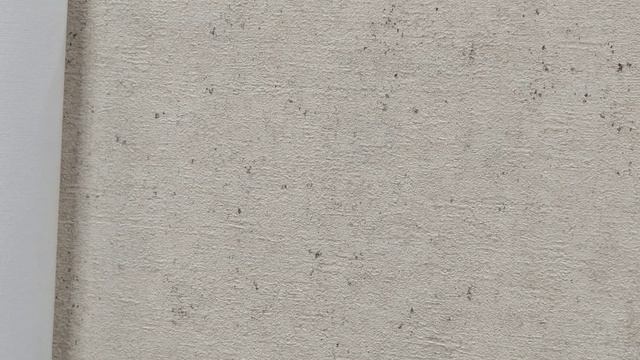 Обзор обоев Rasch Настенные структуры 4 (Wall Textures XL 4) 974218