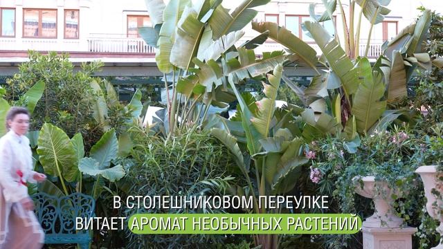 «Сады и цветы»: Москва стала меккой ландшафтного дизайна