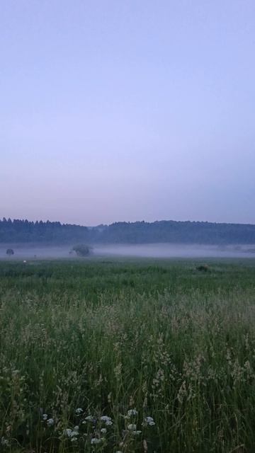 Мистический туман