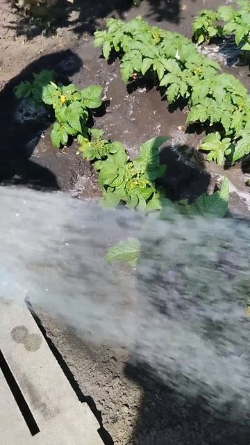 11.05.2026 Без воды и туды, и ни сюды!