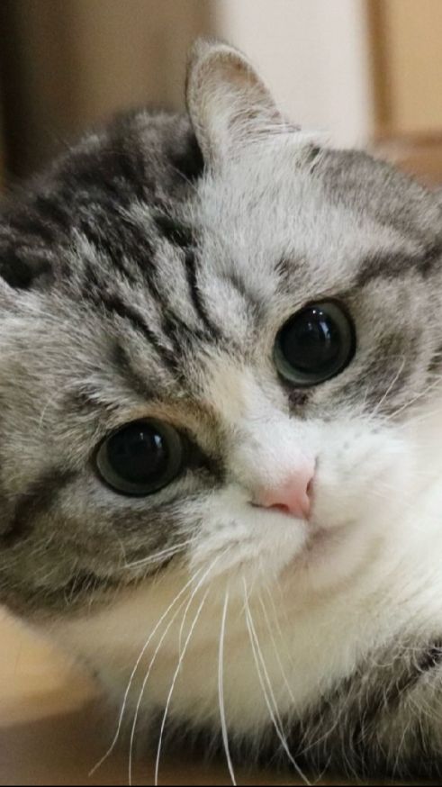 ?...?