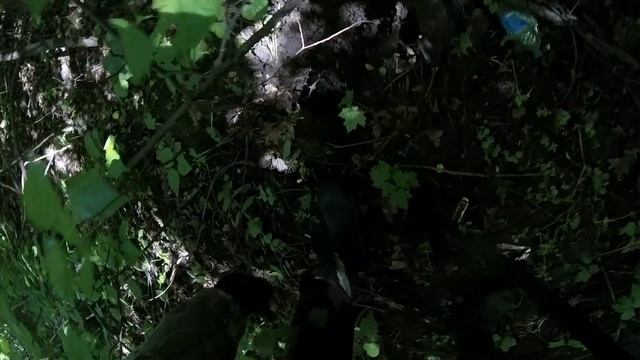 Обочина дороги. Добрал остатки, металлокоп