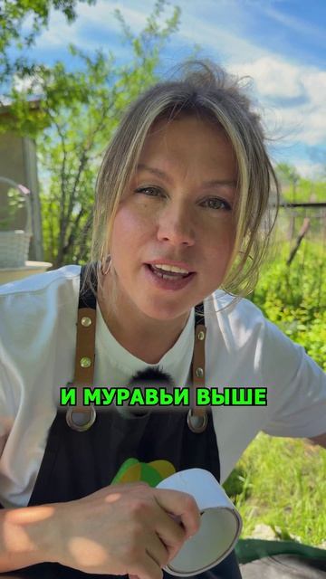 Смотрите, как я спасаю деревья от тли!