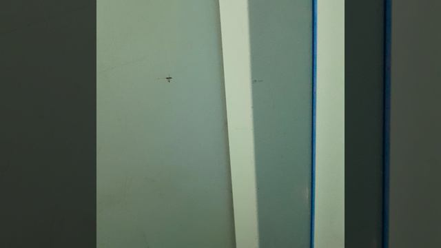 1000015162.mp4
