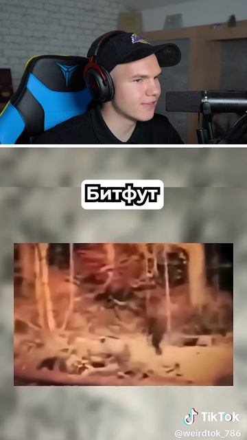 😨 ИСЧЕЗНУВШИЕ ЖИВОТНЫЕ, ПОПАВШИЕ НА КАМЕРУ #shorts #шортс #челлендж #животные #интересно