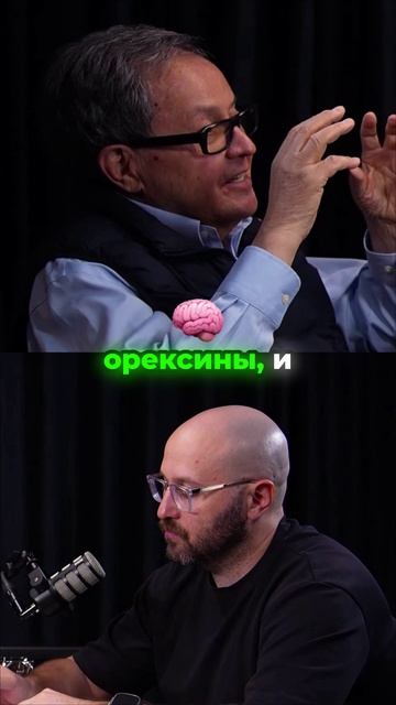 Почему перекусы мешают худеть?