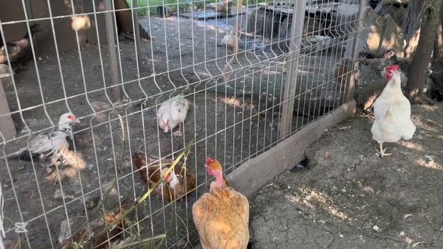 ❤️В понедельник все по плану.