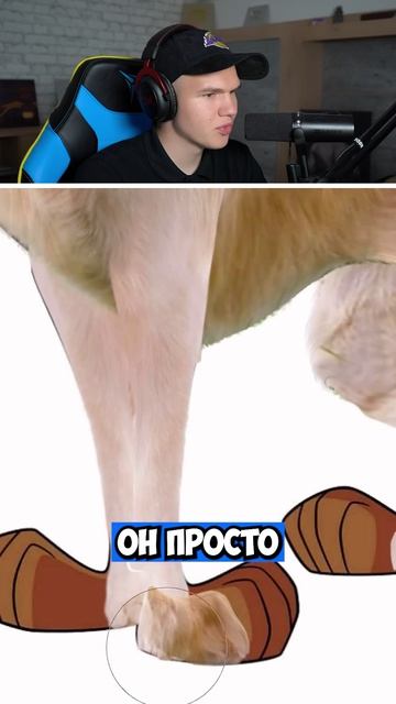 🐶КАК ВЫГЛЯДИТ СКУБИ-ДУ В РЕАЛЬНОЙ ЖИЗНИ? #shorts #шортс #рисование #рисунок #арт