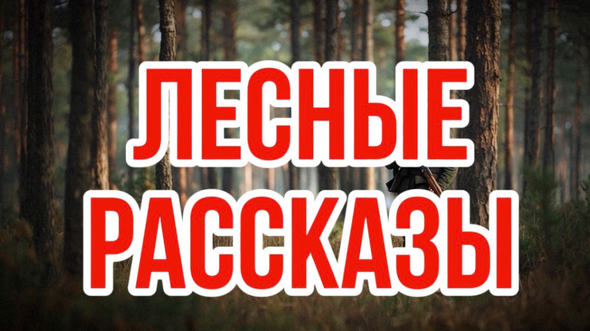 Сборник рассказов |лесные рассказы