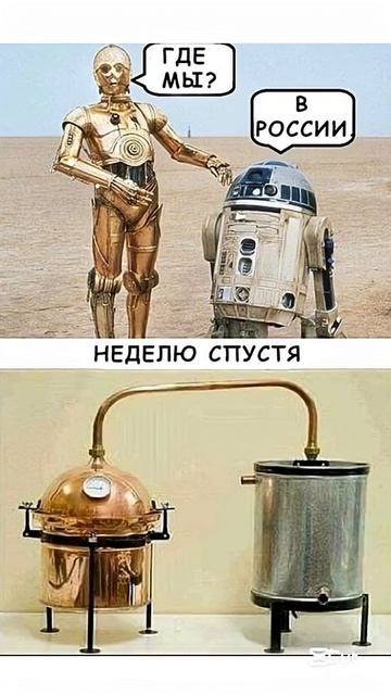 Без названия