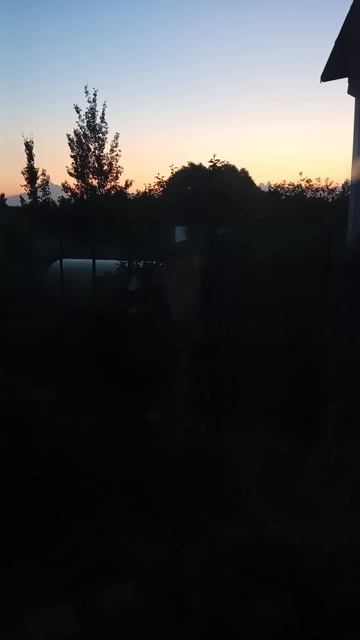 98727.mp4
