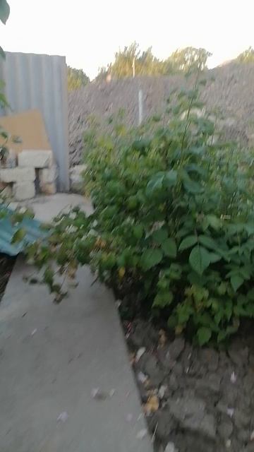 Жесть какой громкий поезд