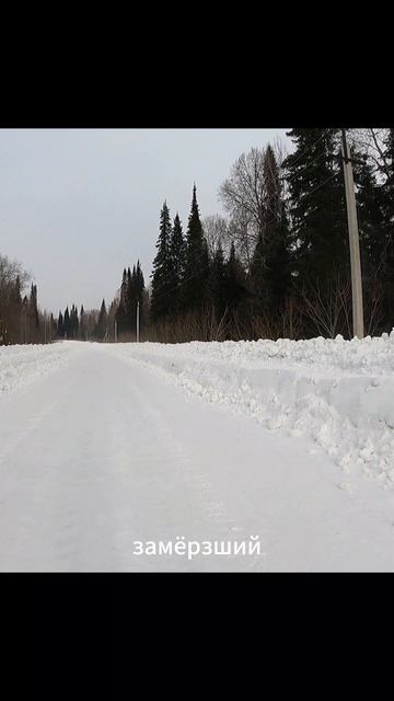 «Розы на морозе»