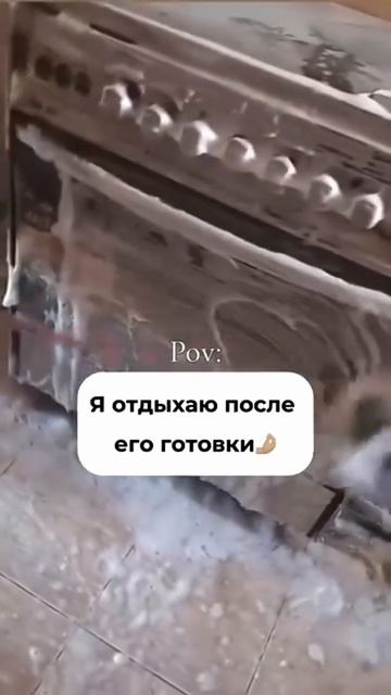 И так всегда 😱🫧  Кстати , гель для посуды от ARIC🪄✨