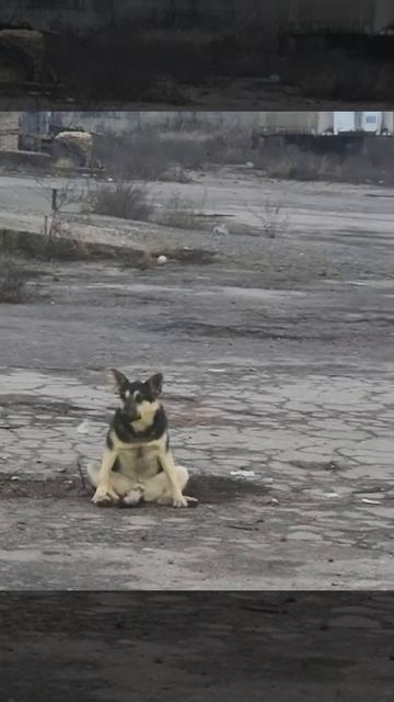 Когда сказали сидеть на попе ровно😆))
