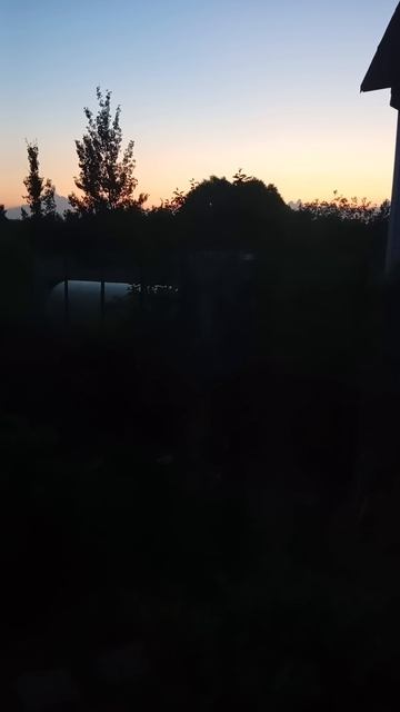 98725.mp4