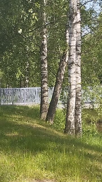 13-06-2026 Привет! Пошли прогуляемся