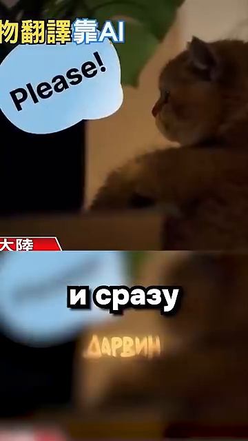 Коты будут разговаривать матами