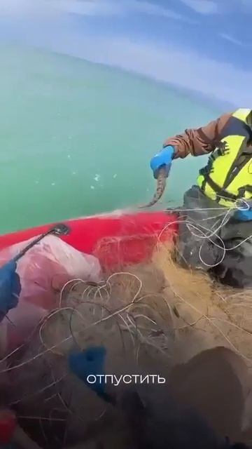 Видео от За Трофеем: Охота и Рыбалка