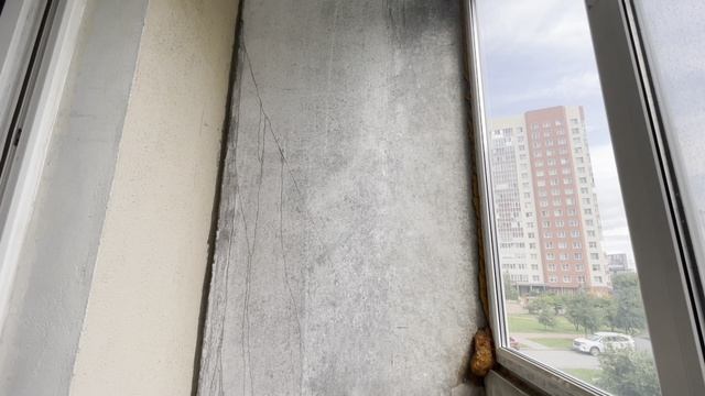 деревня Новое Девяткино, улица Энергетиков, 1