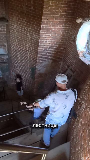 МЫШКИН