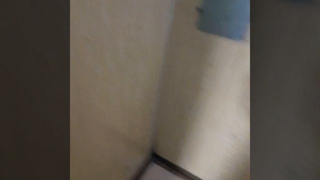 1000015166.mp4