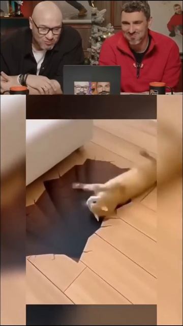 ПОПРОБУЙ НЕ РЖАТЬ! НАСТОЯЩИЙ СМЕХ 🤣😱  3 #юмор #смешновидео #прикол (14)
