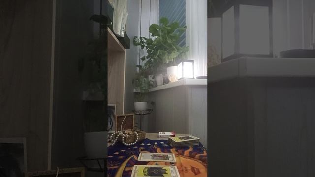 Карта дня