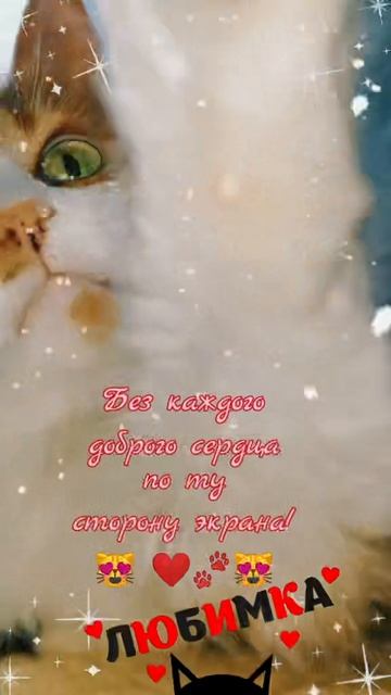 Без кого Хвостик не может? Если хочешь узнать — смотри нас. 💖🐾🤍