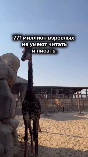 Цените жизнь