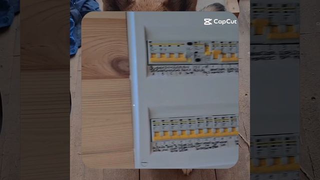 1000061941.mp4 (Собака наблюдает за обозначениями в электрическом щите в доме А-фрейм)